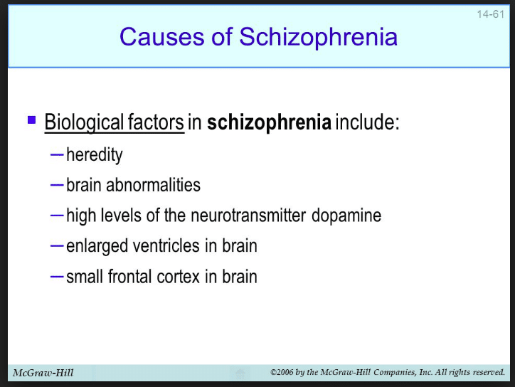 What are the Causes of Schizophrenia? Environmental, Social, Biological ...